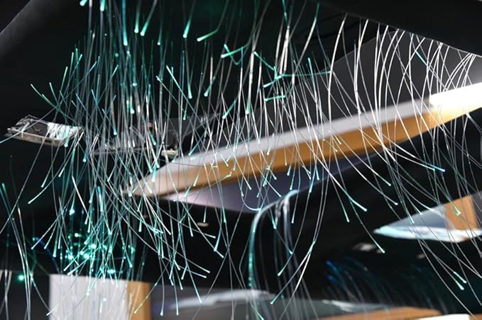 AKEPO End Glow Fiber Optic Light Cable 450pcs*9.8ft/3m*Ф0.03in/0.75mm, PMMA Optical Plastic Cable for LED Star Ceiling Sky Light Kit and Fiber Optical Lighting Decoration (Without Light Source)