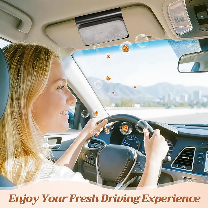 4 Pcs Car Air Freshener Set Stone Air Freshener Vehicle Scent Diffuser Car Odor Eliminator, 4 Long Lasting Scents Amber Coconut Grove Tectona Grandis Refills, Metal Clip Included