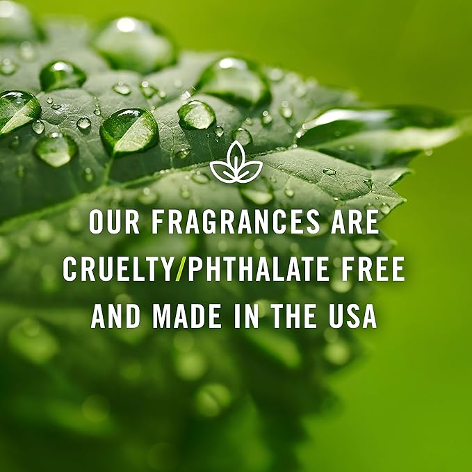 P&J Trading Fragrance Oil for Diffusers for Home - Campfire 10ml Fragrance Scents for Candle Making - Soap Making Supplies & Car Diffuser Scents